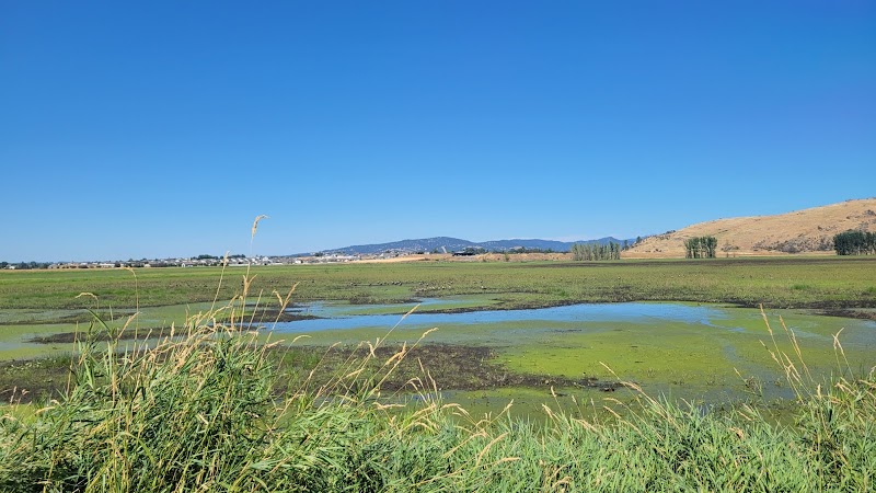 Saltese Henry Rd trailhead