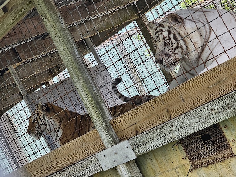 Animal Sanctuary & Alligator Park