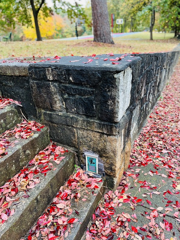 Tiny Door 20 - Coan Park