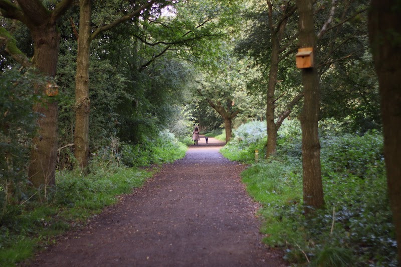 Salt Line and Borrow Pit Meadows