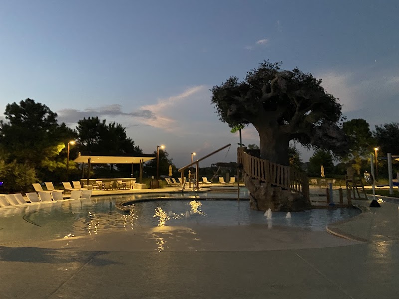 Dragonfly Pool Park Bridgeland