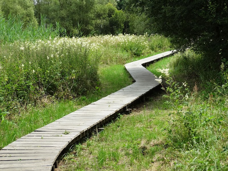 Natuurreservaat grootbroek