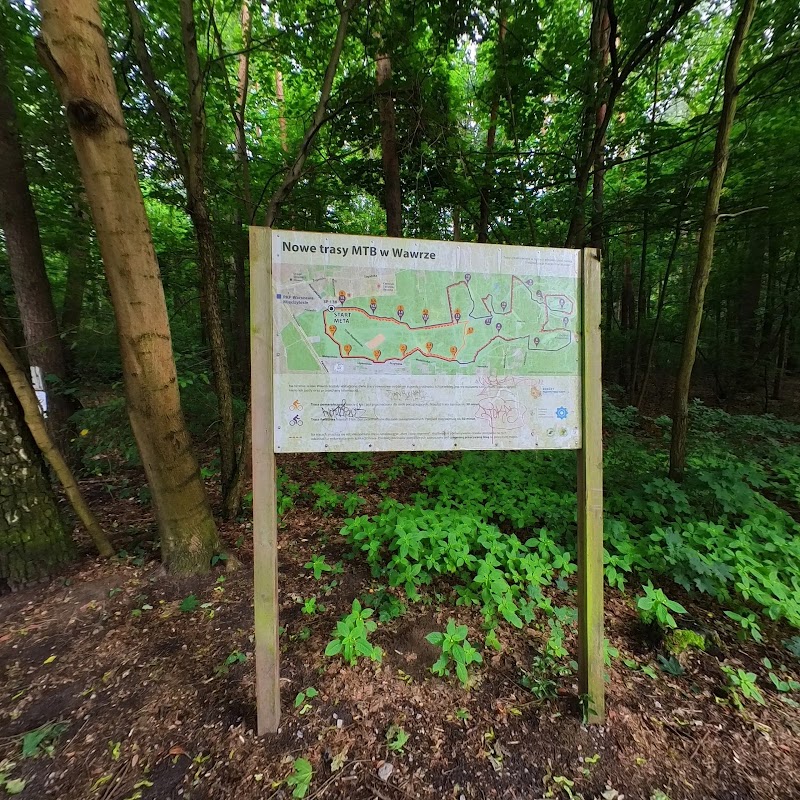 Fioletowy wawer szlak rowerowy