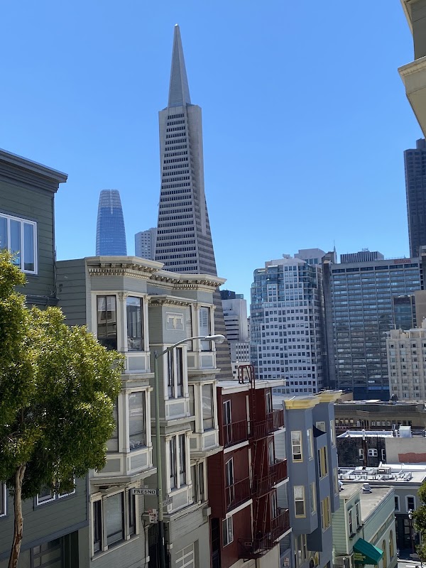 Peter Macchiarini Steps