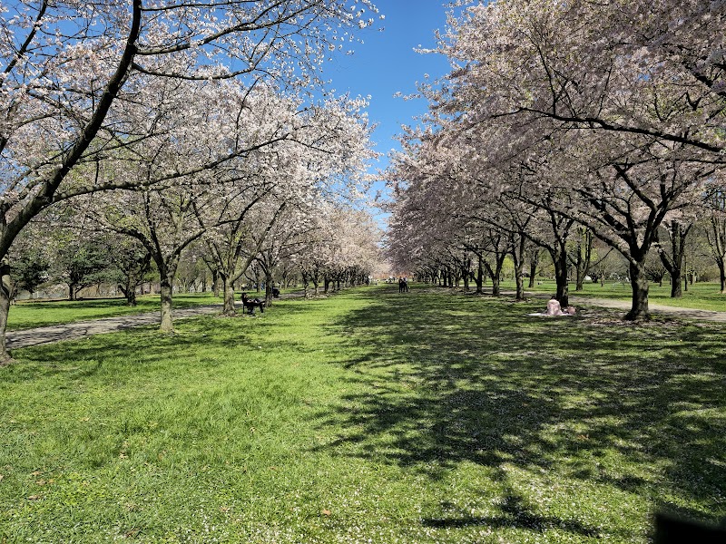 Centennial Arboretum