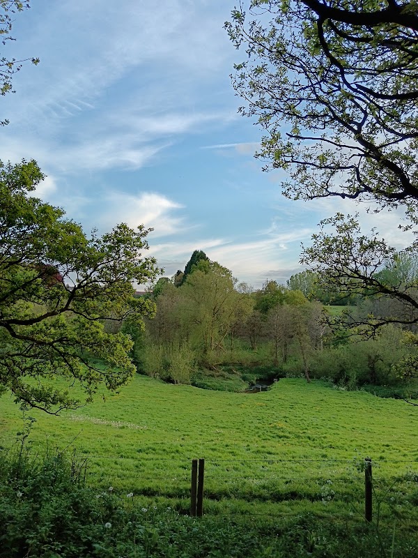 Hassall Green Nature Reserve