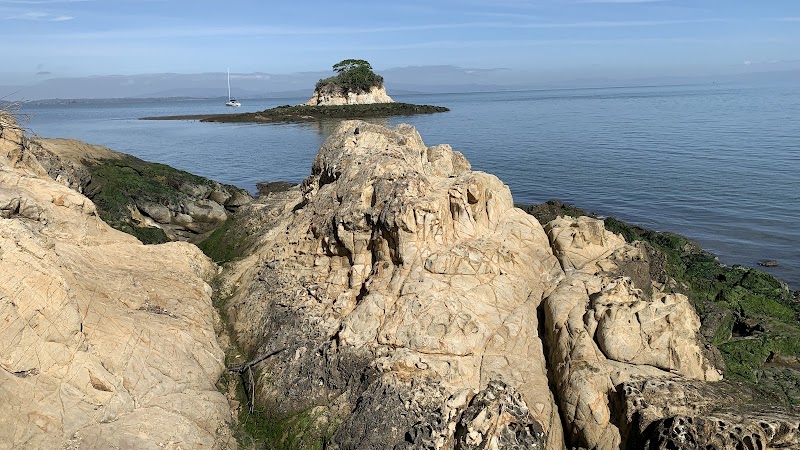 China Camp Point Picnic Area