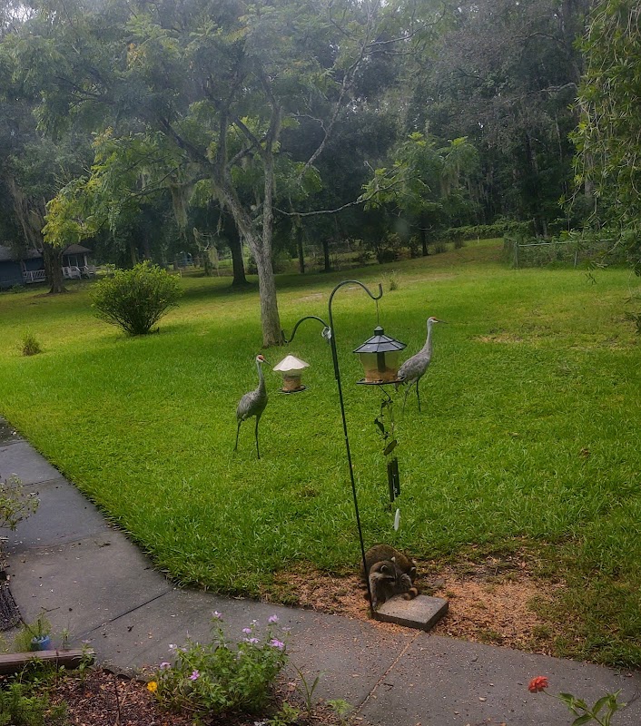 CARNEY LAND & WILDLIFE PRESERVE