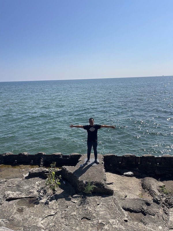 Praising Tree Sculpture