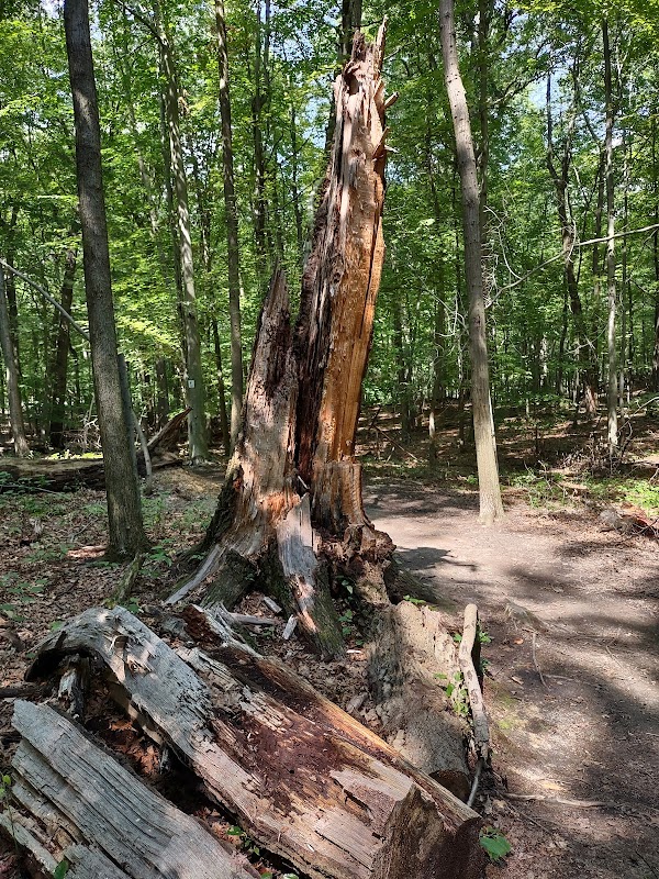 Cleveland Metroparks