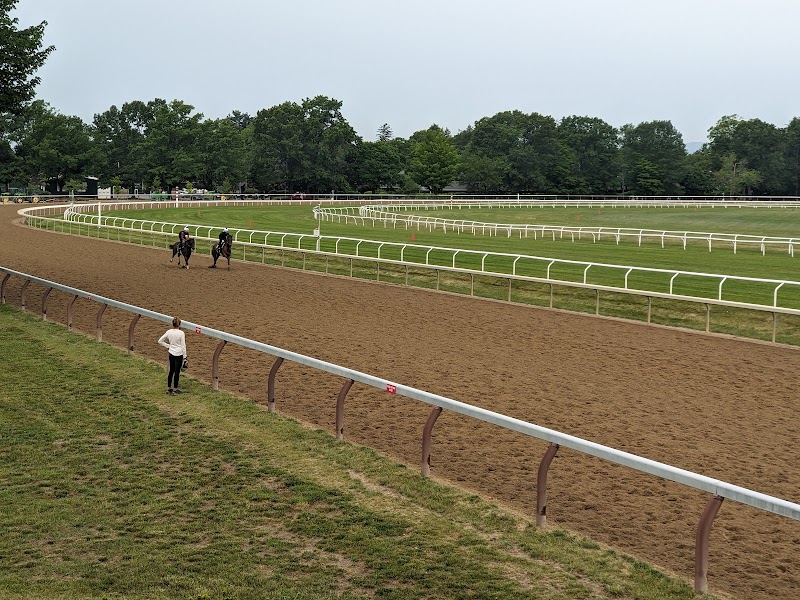 Whitney Viewing Stand