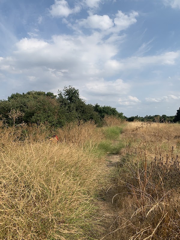 Hounslow Heath (Hounslow)