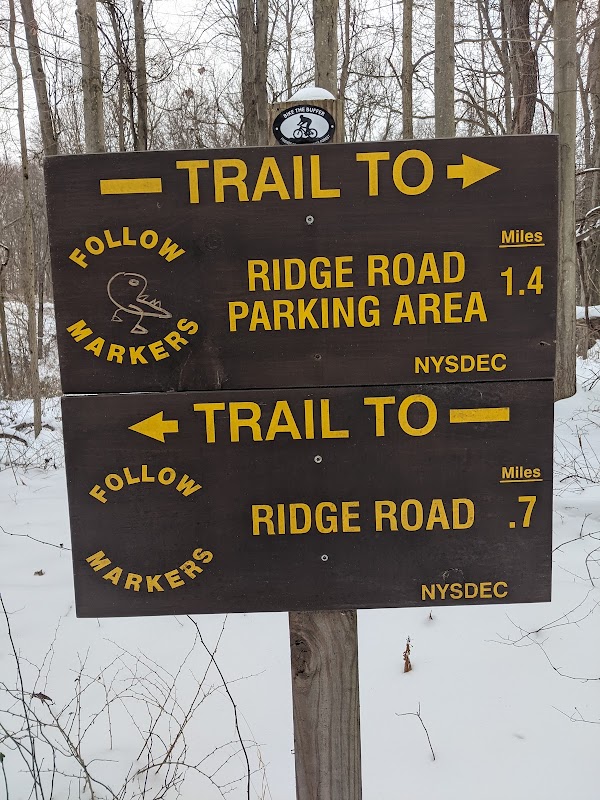 Trail Intersection: Scofield Lane - Great Swamp Boardwalk