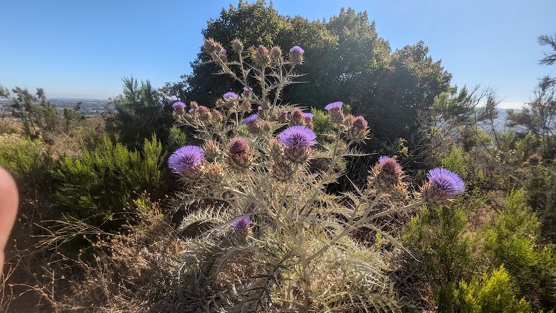 Canyon Hills Open Space