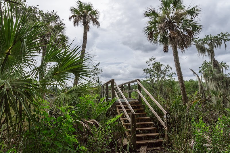 Alafia Scrub Preserve Trail Observation Deck