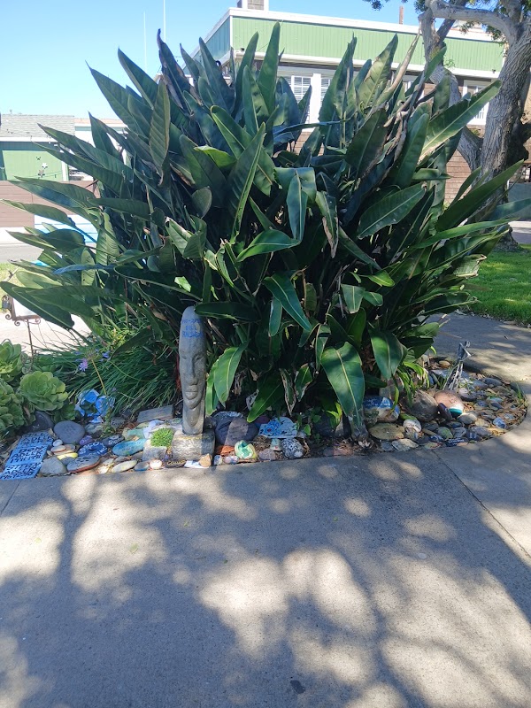 Friendship Garden