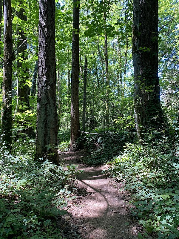 Cook Park Greenbelt