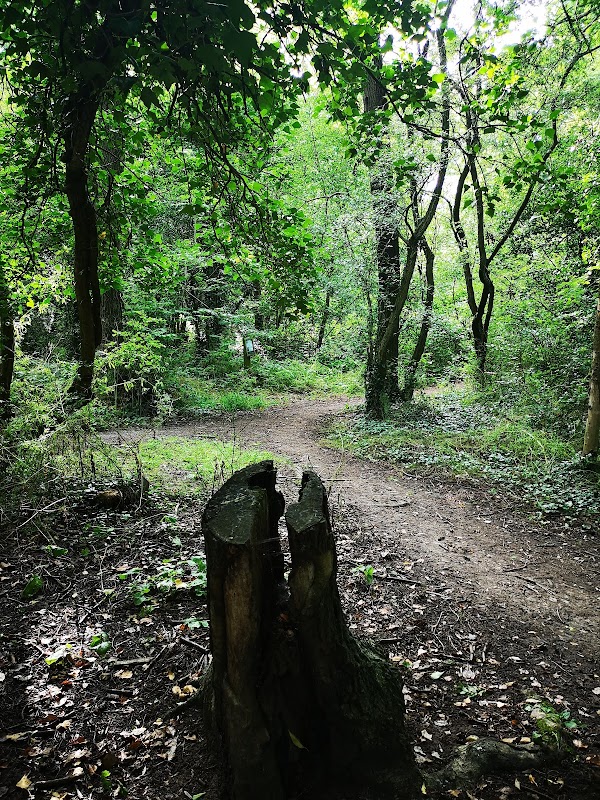 Warndon Woodlands Local Nature Reserve