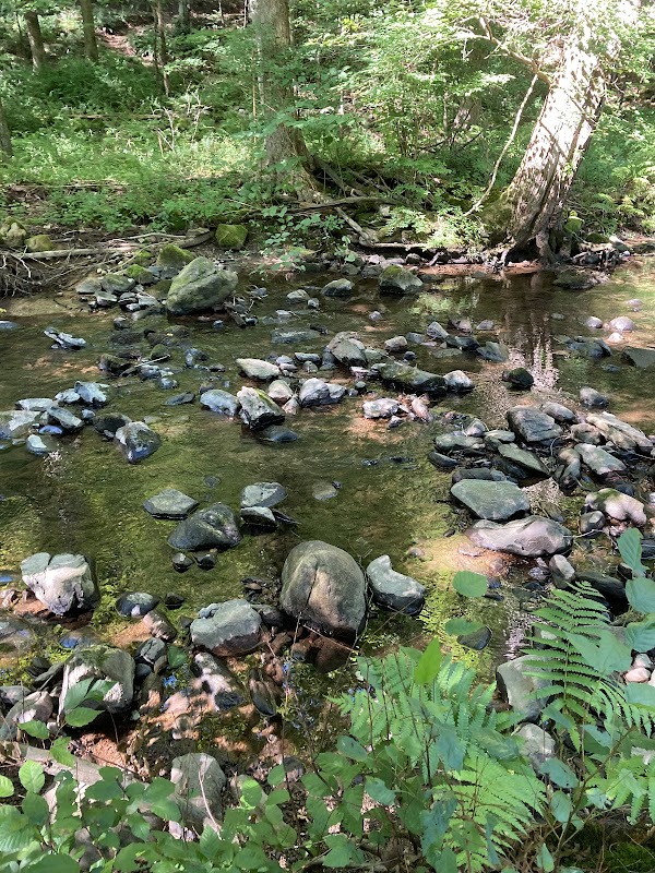 Little River Nature Preserve