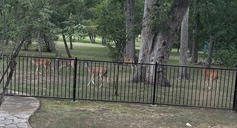 Lewis Mountain Ranch Neighborhood Park