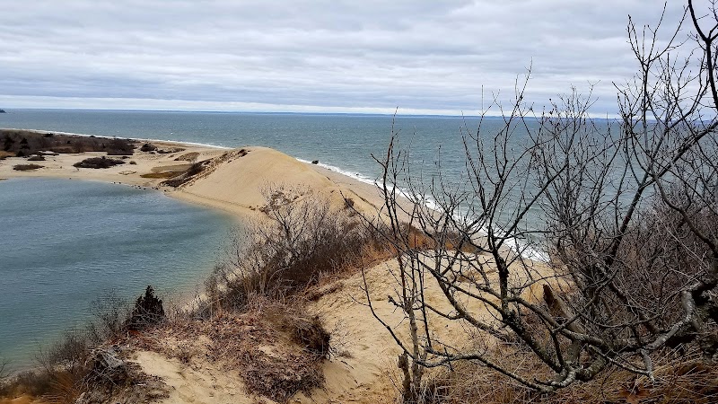 McAllister County Park