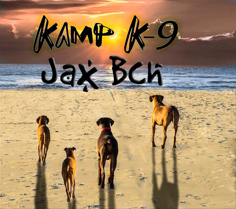 Dog Psychology Adventure Park