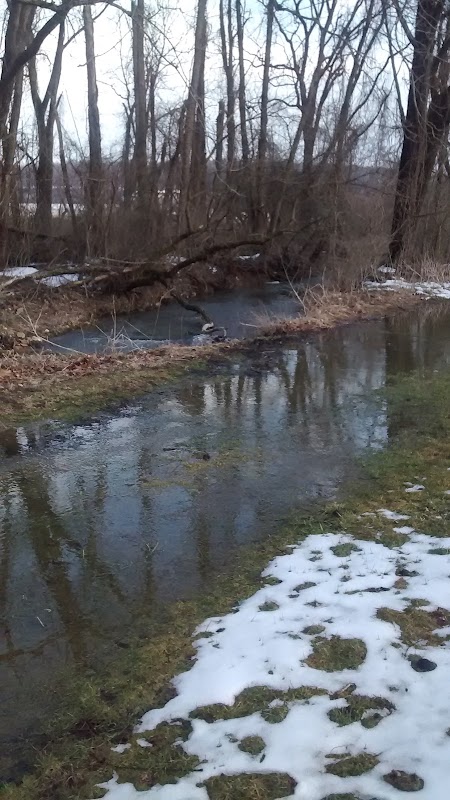 Friends of Camp Security