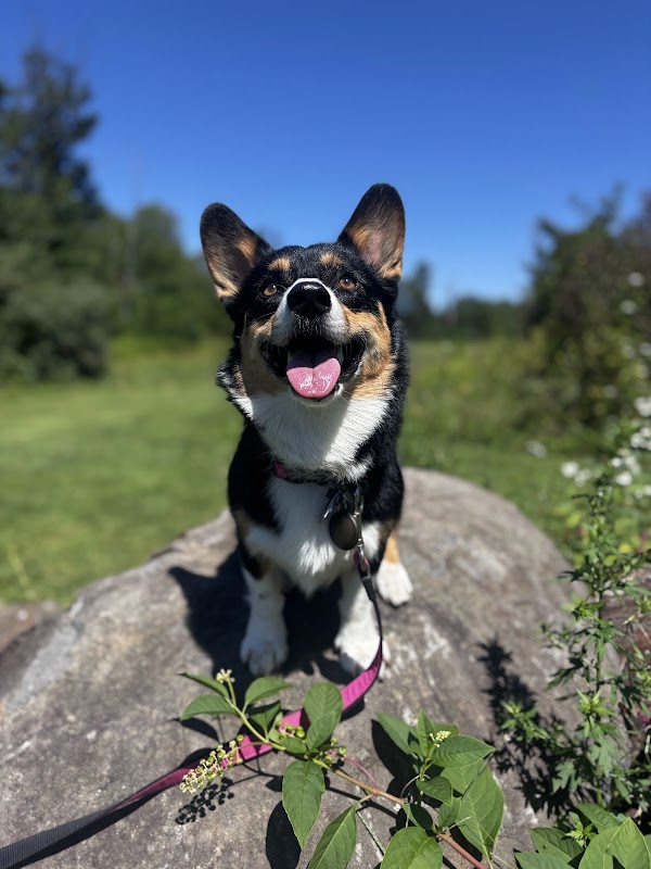 Willard H Markey Centennial Park