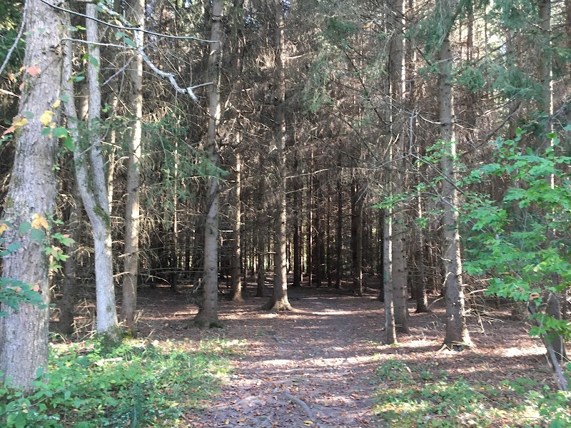 Black Creek Park