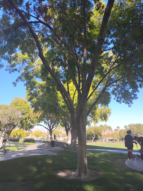 The Arbors Paseo Park