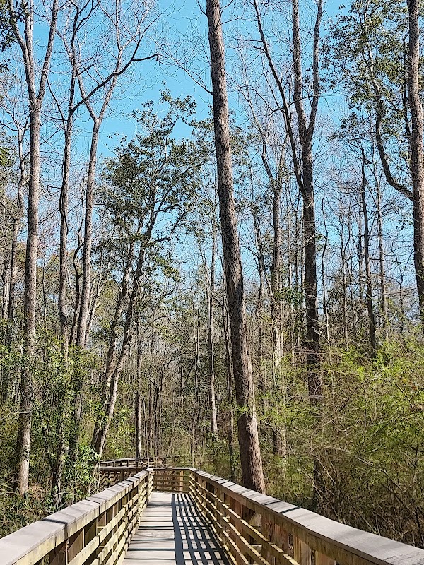 Dothan Trail Park Forever Wild Tract