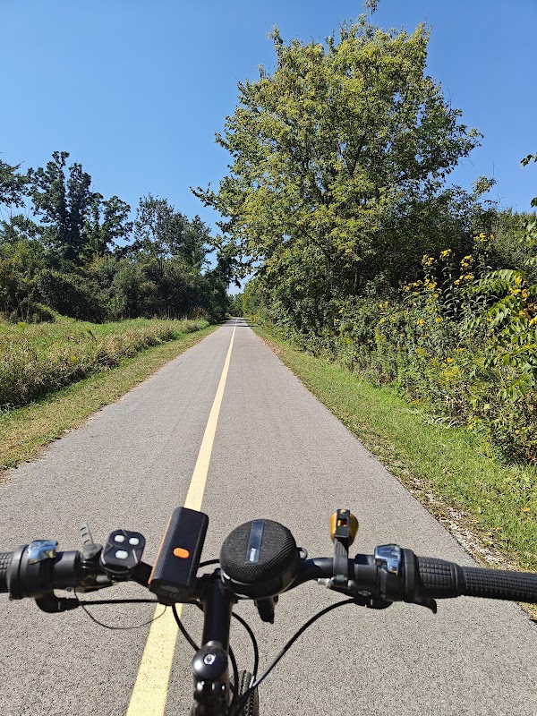 Bachelor Grove Woods (Cook County Forest Preserve)
