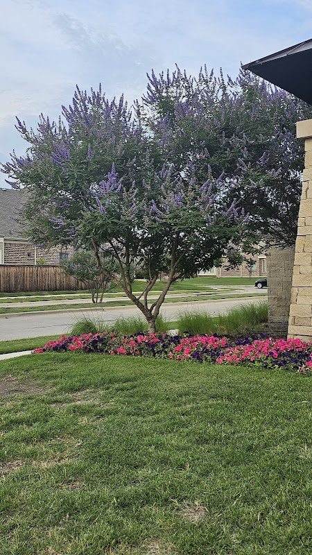 Dominion Of Pleasant Valley Park