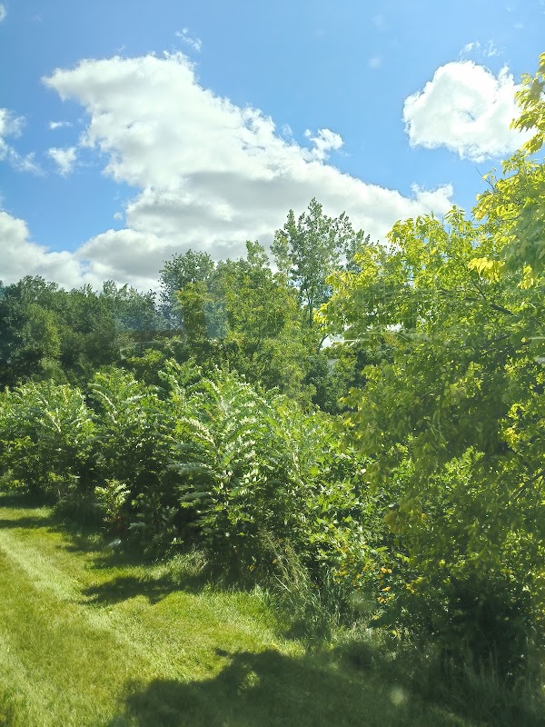 North Ridge Open Space