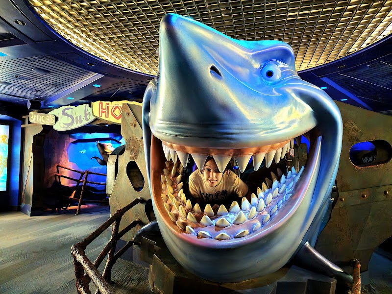 The Seas with Nemo & Friends