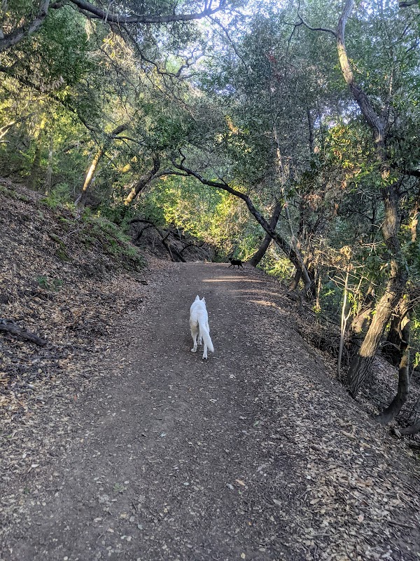 Las Trampas - Del Amigo Trail Entrance