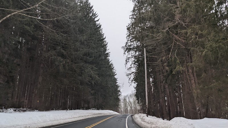 Hamburg Mountain Wildlife Management Area