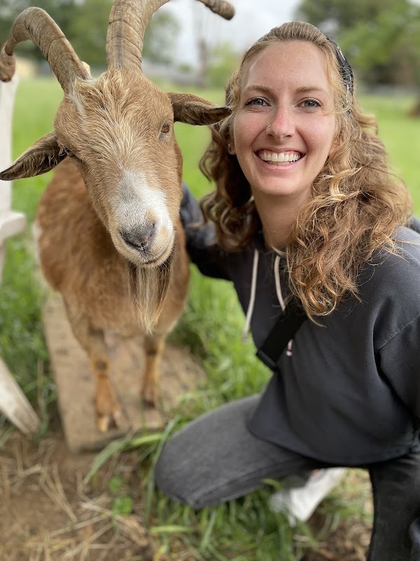 The Belmont Goats