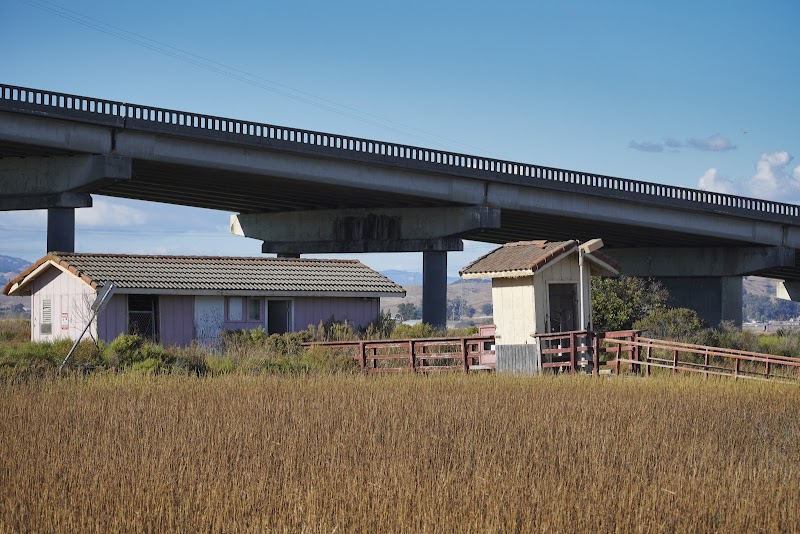 Petaluma Marsh Wildlife Area - Point Sonoma Unit