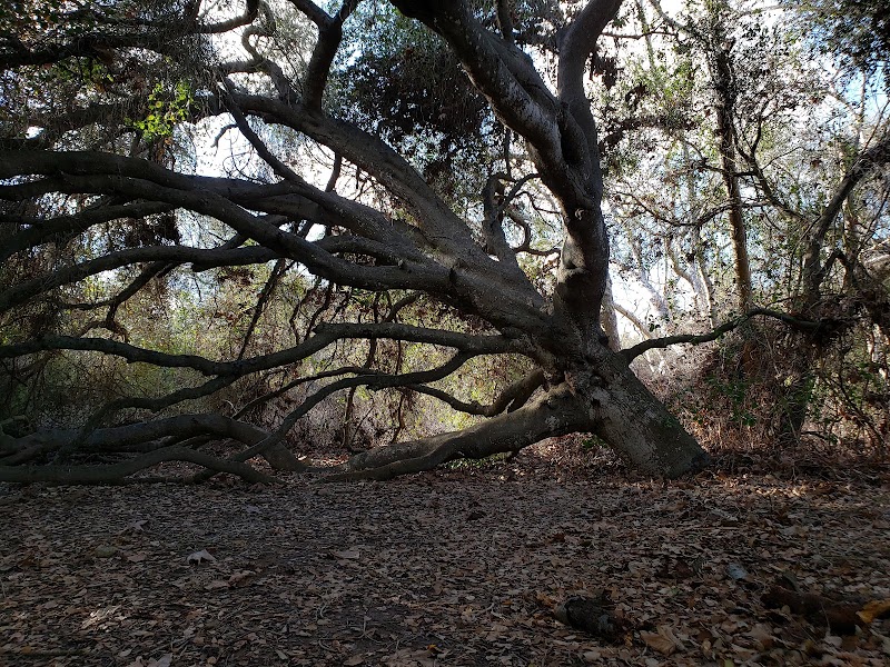 Marian Bear Memorial Park