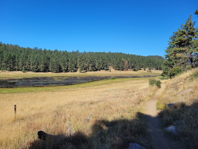Big Laguna Trailhead