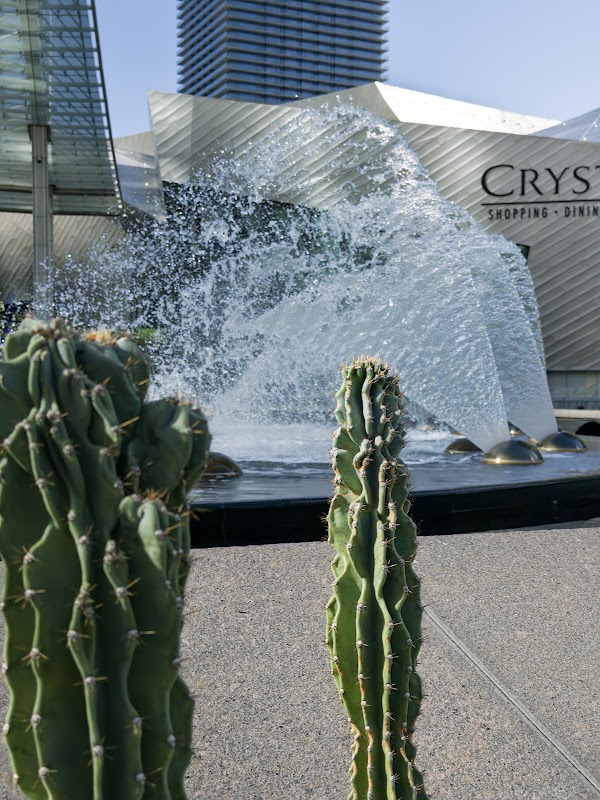 Aria Water Feature
