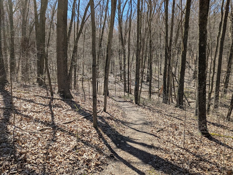 North Country Trail Head
