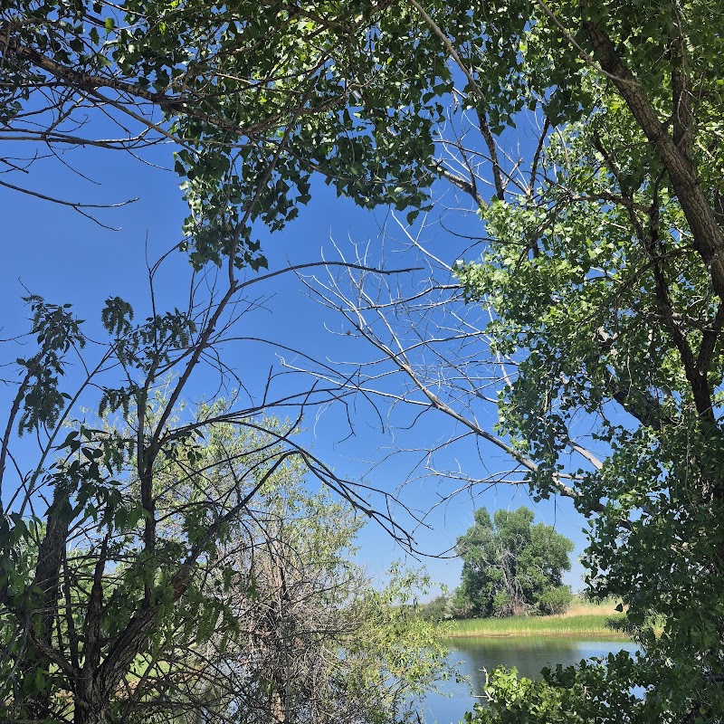 Lake Ladora sitting area