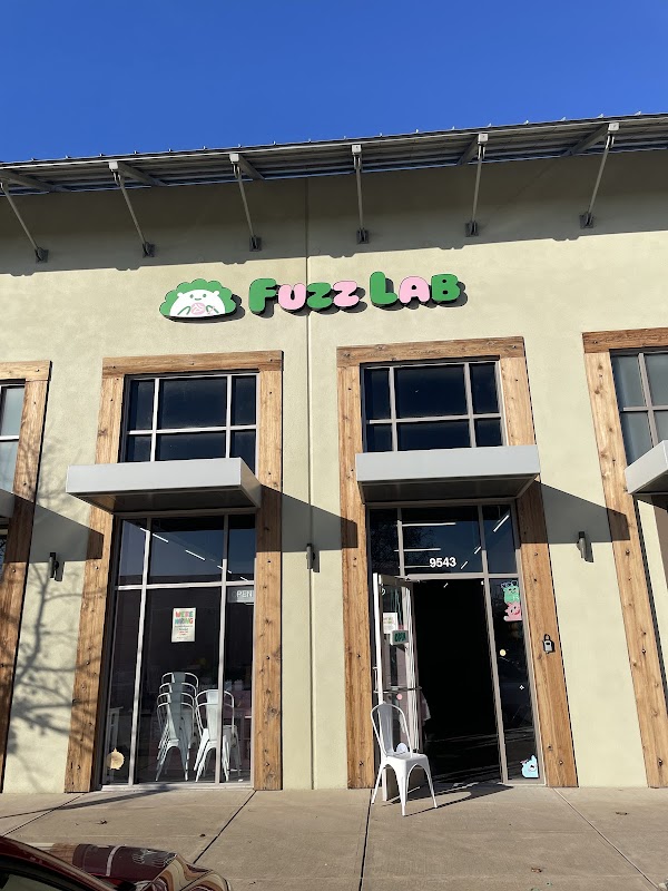 Fuzz Lab Craft Store Fort Worth