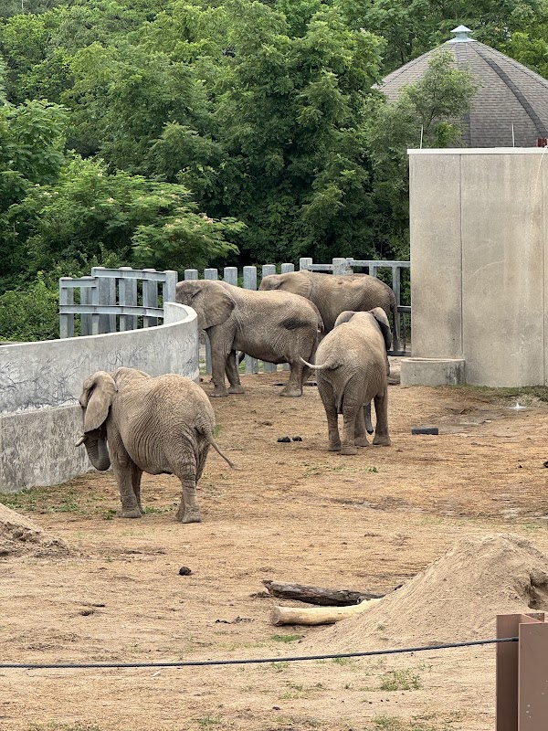Kansas City Zoo & Aquarium