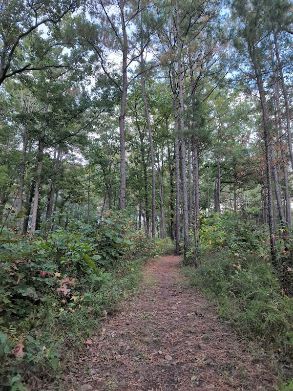 Mountain to sea trailhead at Redwood road