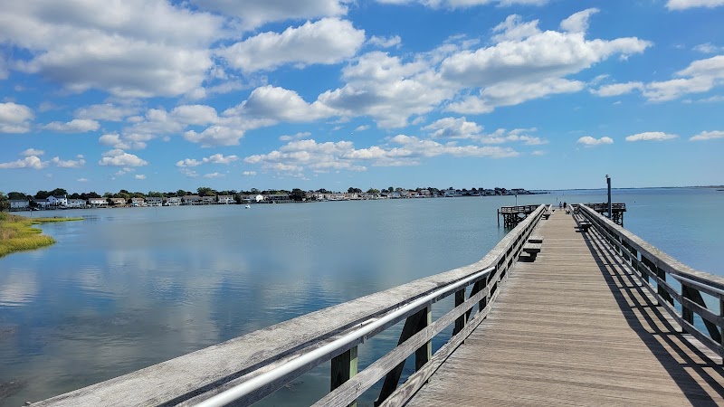 Norman J. Levy Park & Preserve