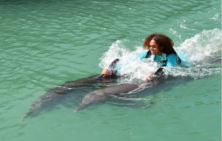 Florida Keys Swim with Dolphin Tours and Tickets