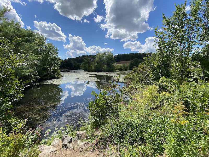 Wheeler Pond